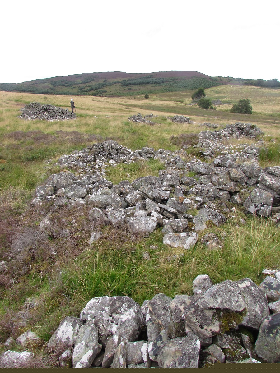 Paired stores at Woodsheal 